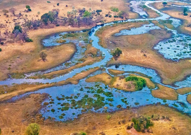 destinations-incontournables-afrique-okavango