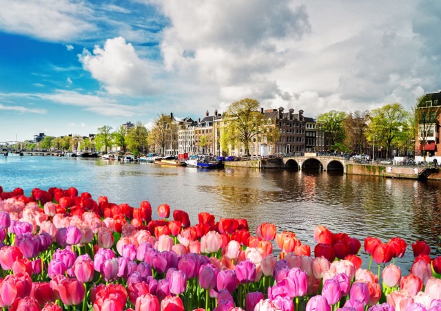 tulips-amsterdam-river-downtown