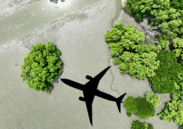 environmental-plane-green