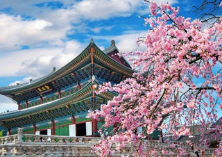 temple-in-south-korea-with-cherry-tree