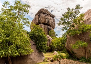 urban-jungle-fusion-nature-encounter-orangutans-at-semenggoh